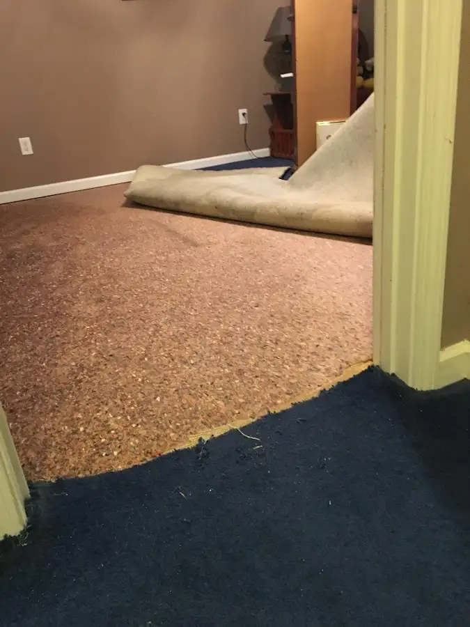 Carpet pad removal revealing water damage during Water Mitigation Services in Sunrise